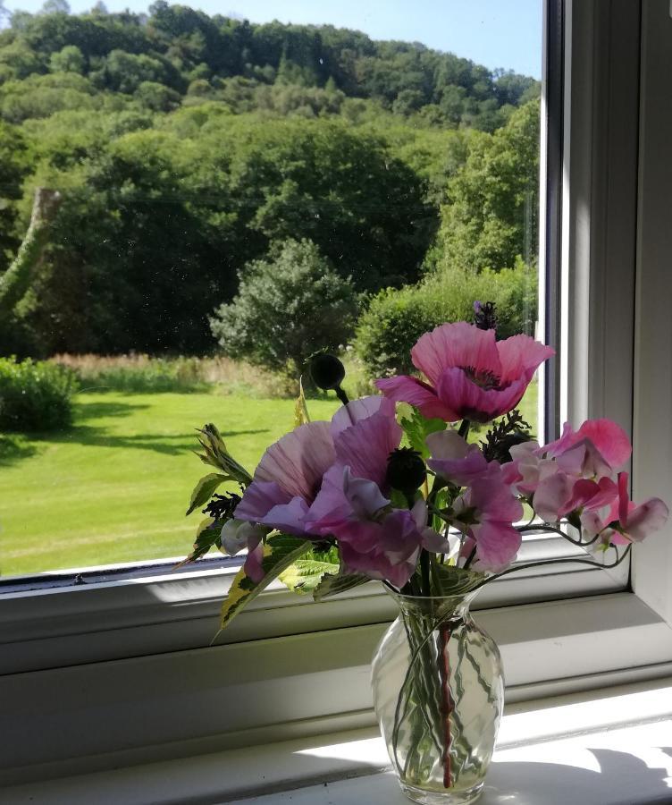 Wray Valley Moretonhampstead Kültér fotó