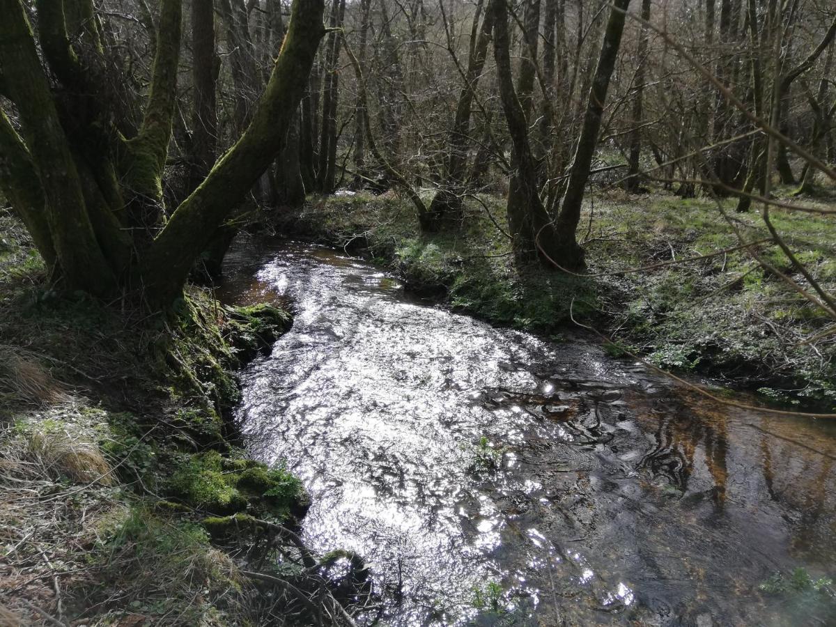 Wray Valley Moretonhampstead Kültér fotó
